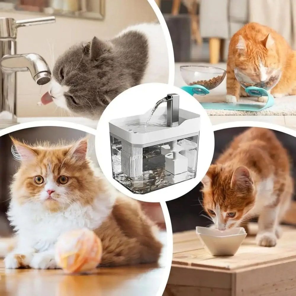 15L Automatic Cat Water Fountain With Silent USB Pump 2