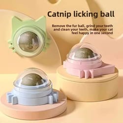 natural rotatable catnip wall ball toy for cats