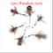 Feather Insect Cat Teaser Wand Replacement Toy Set 6