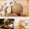 Wooden Cat Scratching Ball Toy 2
