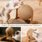 Wooden Cat Scratching Ball Toy 2