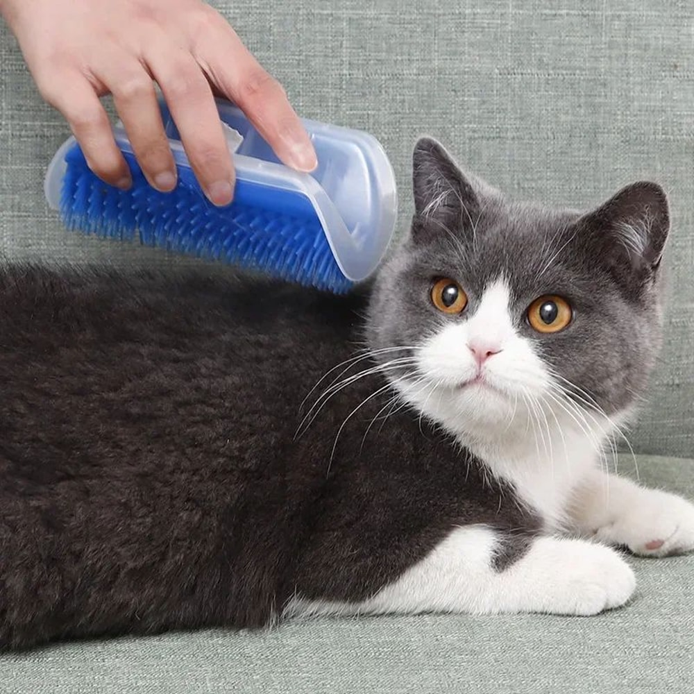 Wall Mount Cat Corner Scratcher Toy 2