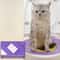 Portable Washable Pet Toilet Trainer 6