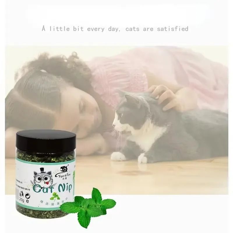 Natural Organic Catnip Mint Toy 1