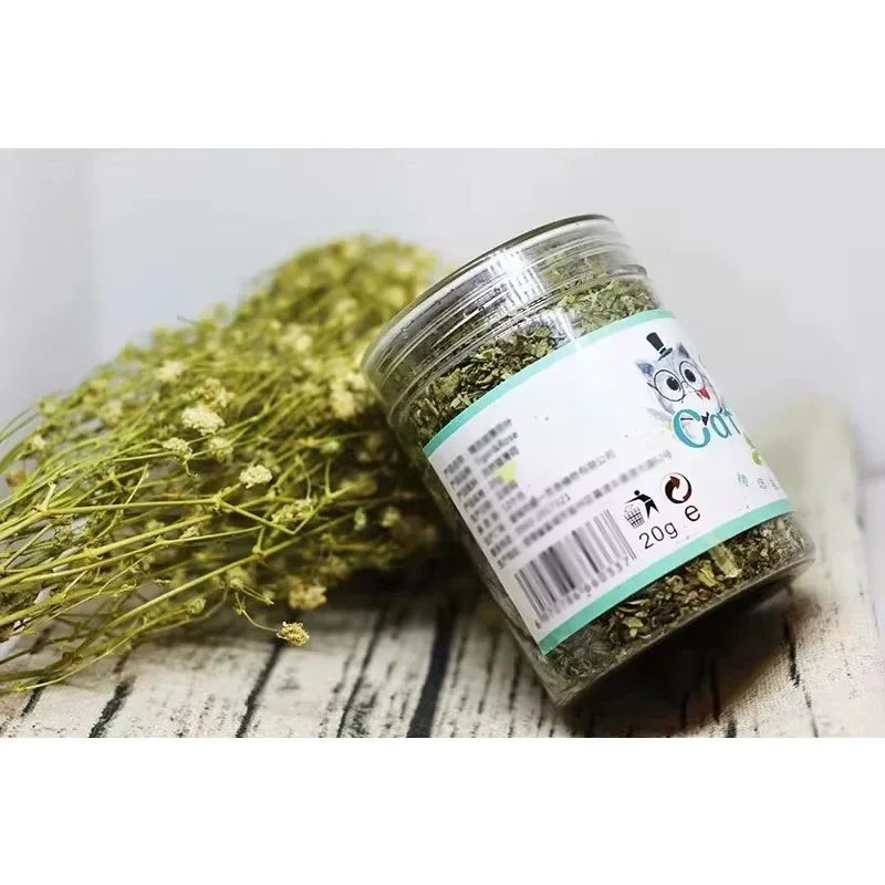 Natural Organic Catnip Mint Toy 4