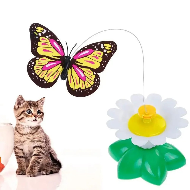 Electric Butterfly Interactive Cat Toy 6