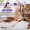 Lavender Pet Deodorizing Spray For Dogs And Cats 7