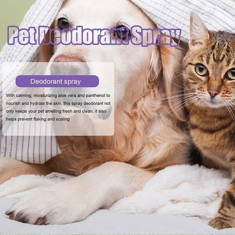 Lavender Pet Deodorizing Spray For Dogs And Cats 7