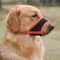 Breathable Adjustable Dog Muzzle Mask 1