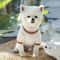 Soft Summer Dog T Shirt Dress For Small Dogs 6
