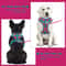 Breathable No Pull Adjustable Dog Harness 5