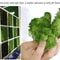 Artificial Reindeer Moss Decorative Greenery 1