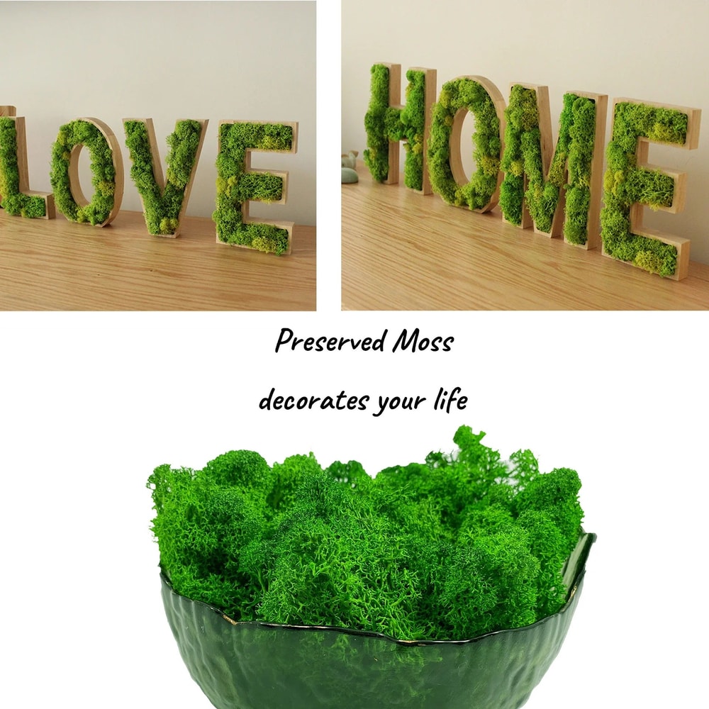 Artificial Reindeer Moss Decorative Greenery 2