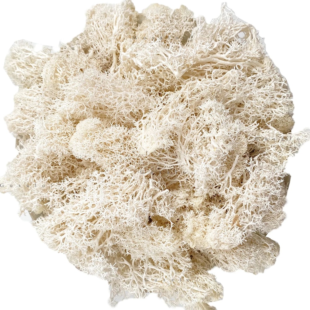 Artificial Reindeer Moss Decorative Greenery 6