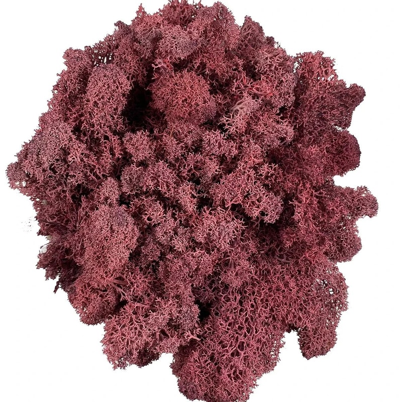 Artificial Reindeer Moss Decorative Greenery 7