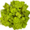 Artificial Reindeer Moss Decorative Greenery 9