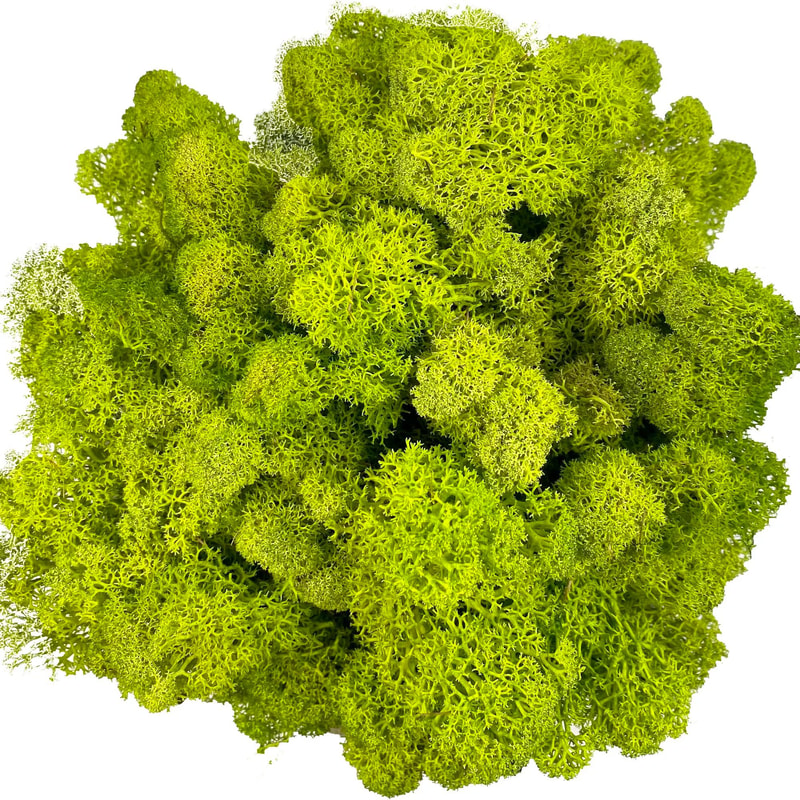 Artificial Reindeer Moss Decorative Greenery 9