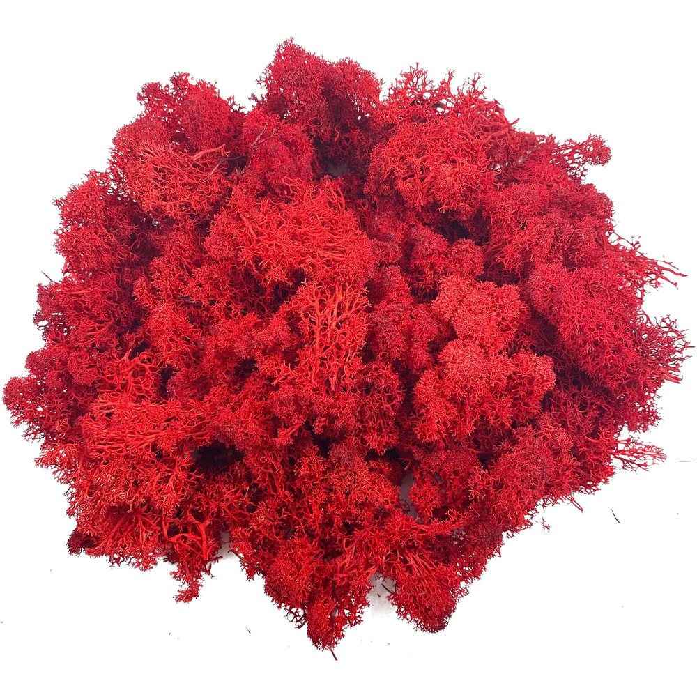 Artificial Reindeer Moss Decorative Greenery 15