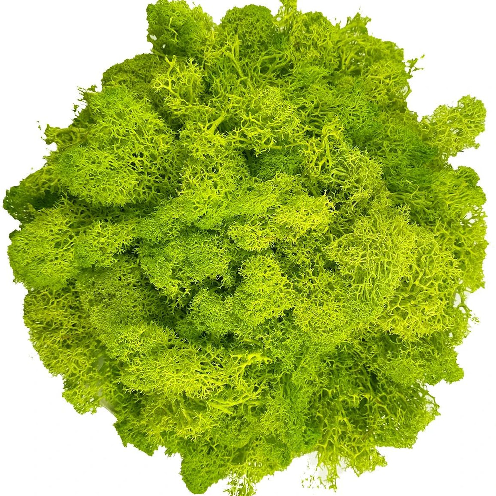 Artificial Reindeer Moss Decorative Greenery 17