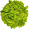 Artificial Reindeer Moss Decorative Greenery 17