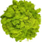 Artificial Reindeer Moss Decorative Greenery 17