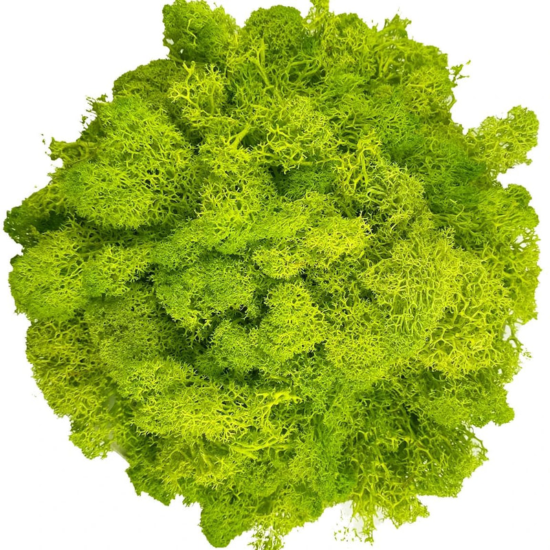 Artificial Reindeer Moss Decorative Greenery 17