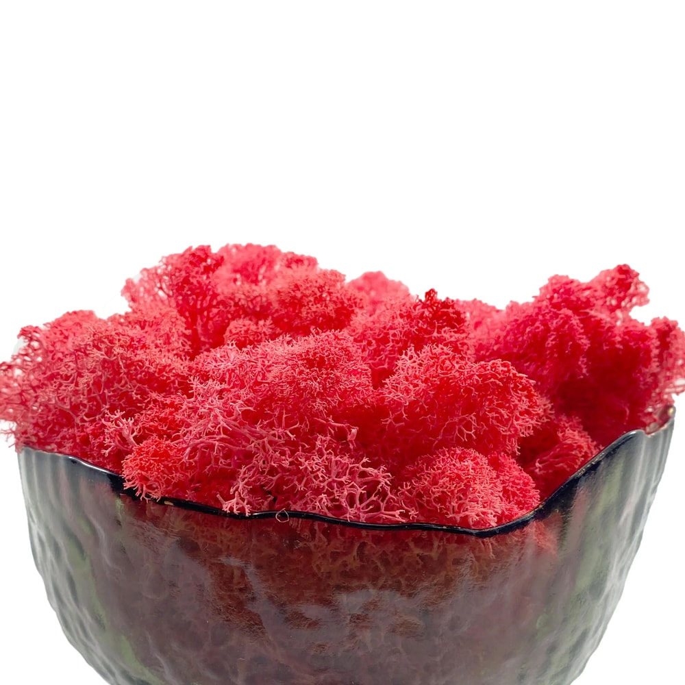 Artificial Reindeer Moss Decorative Greenery 20