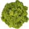 Artificial Reindeer Moss Decorative Greenery 14