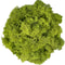 Artificial Reindeer Moss Decorative Greenery 14