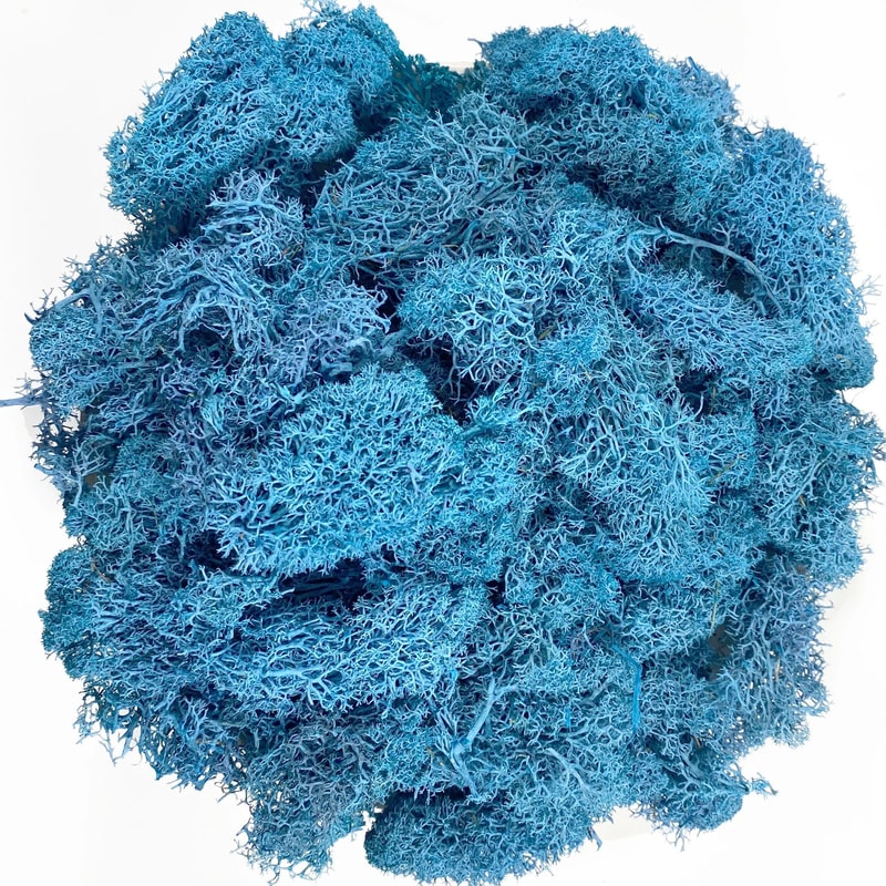 Artificial Reindeer Moss Decorative Greenery 24