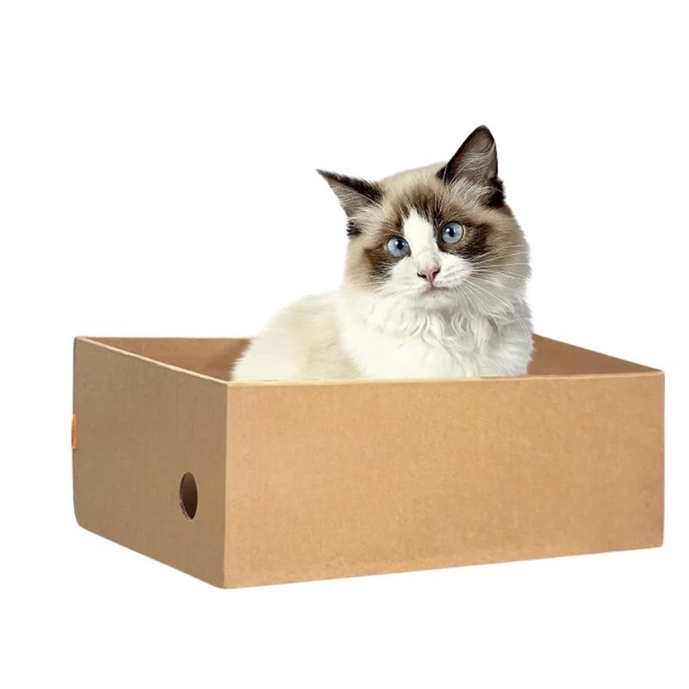 Cardboard Cat Scratching Post Box Set 1