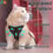 Reflective Adjustable Cat Harness And Leash Set 4