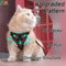 Reflective Adjustable Cat Harness And Leash Set 4