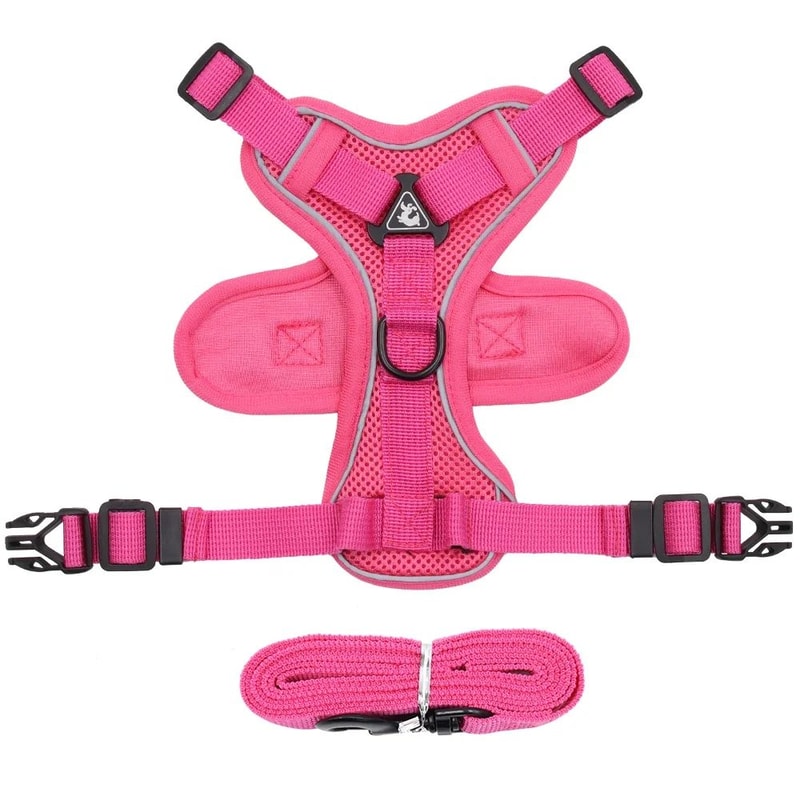 Reflective Adjustable Cat Harness And Leash Set 13
