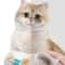 Pet Eye Cleaning Wipes For Tear Stains 8
