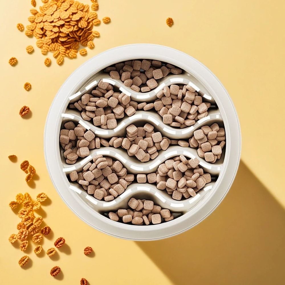 Dual Slow Feeder Cat Bowl Set 1