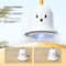 Interactive Suction Cup Cat Teaser Wand 7