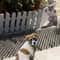 Cat Scat Deterrent Spike Mat 5