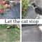 Cat Scat Deterrent Spike Mat 9