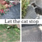 Cat Scat Deterrent Spike Mat 9