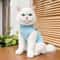 Cat Recovery Surgery Jumpsuit 3