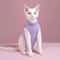 Cat Recovery Surgery Jumpsuit 4