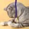 Silvervine Cotton Rope Cat Teaser Toy 5