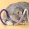 Silvervine Cotton Rope Cat Teaser Toy 9