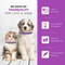 Cat Calming Pheromone Collar 3 Pack 2