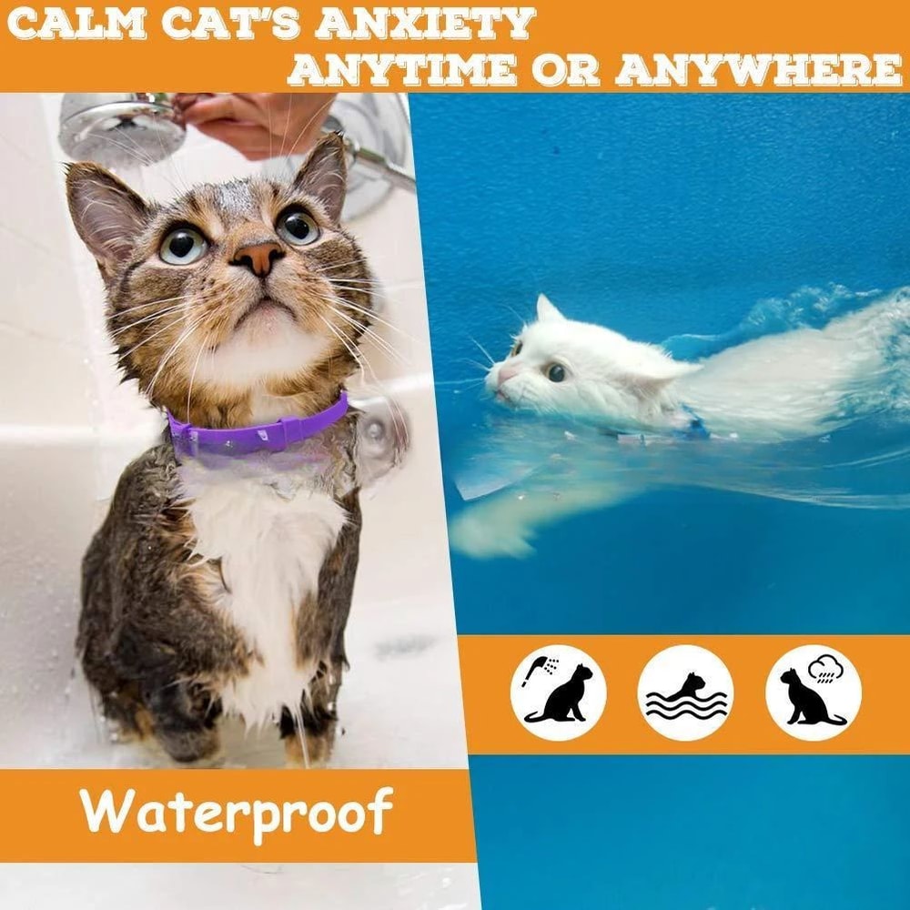 Cat Calming Pheromone Collar 3 Pack 5