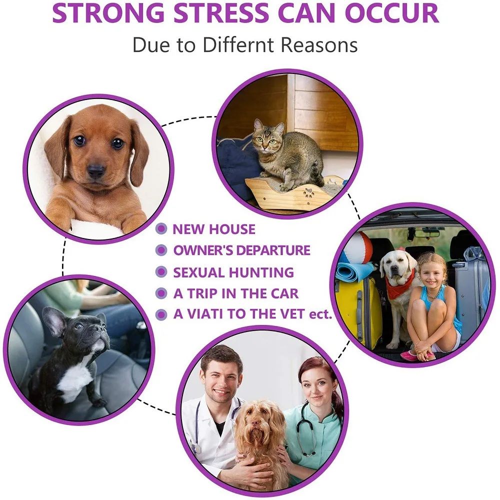 Cat Calming Pheromone Collar 3 Pack 9