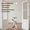 Interactive Flying Bird Cat Toy 3