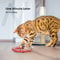 Smart Sensing Snake Cat Toy 5