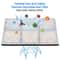 Activated Carbon Fountain Filter Set 3